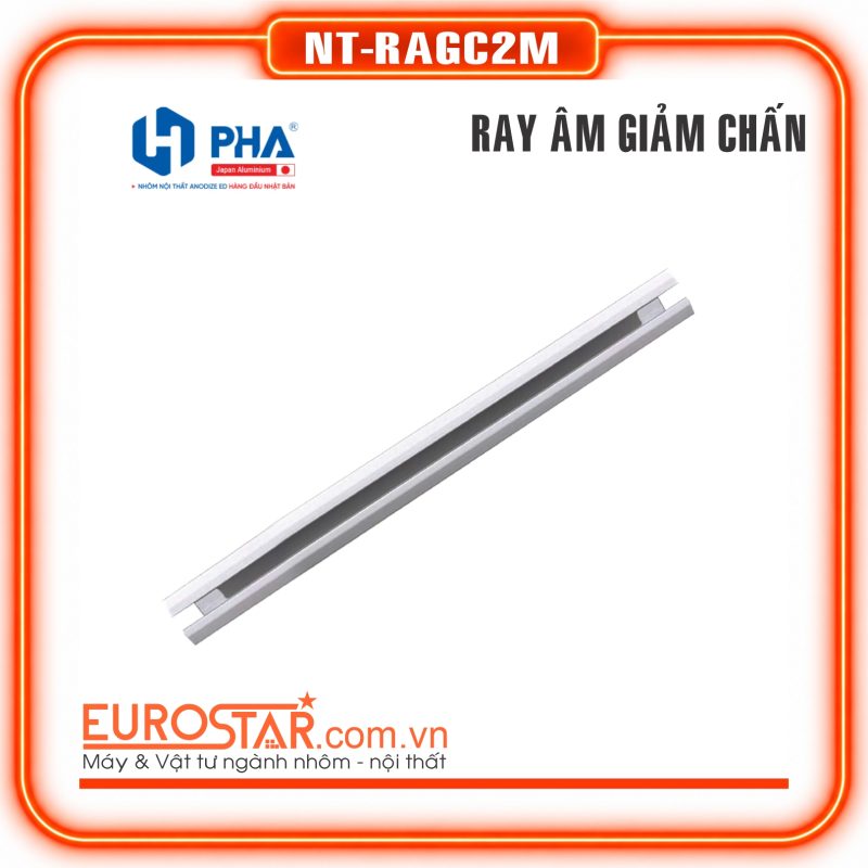 RAY ÂM GIẢM CHẤN